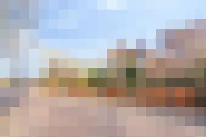 Middenlaan 22 Dwingeloo thumbnail 34