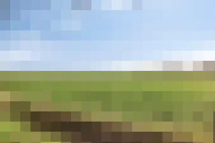 Middenlaan 22 Dwingeloo thumbnail 36