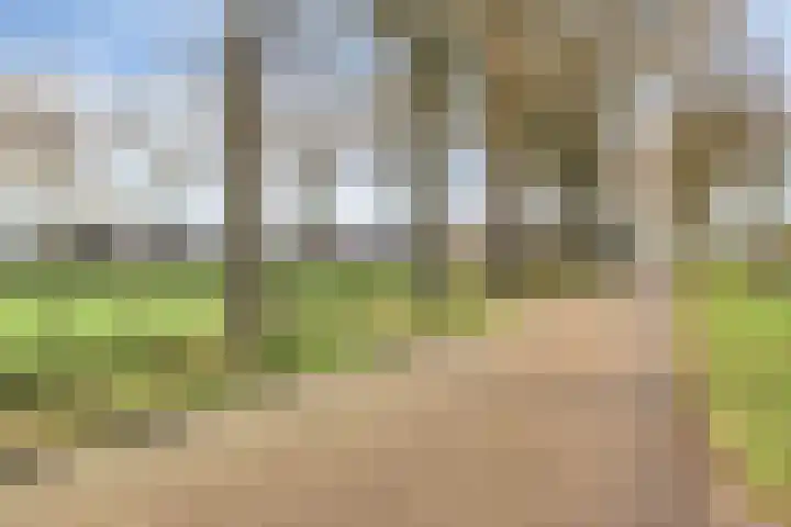 Middenlaan 22 Dwingeloo thumbnail 37