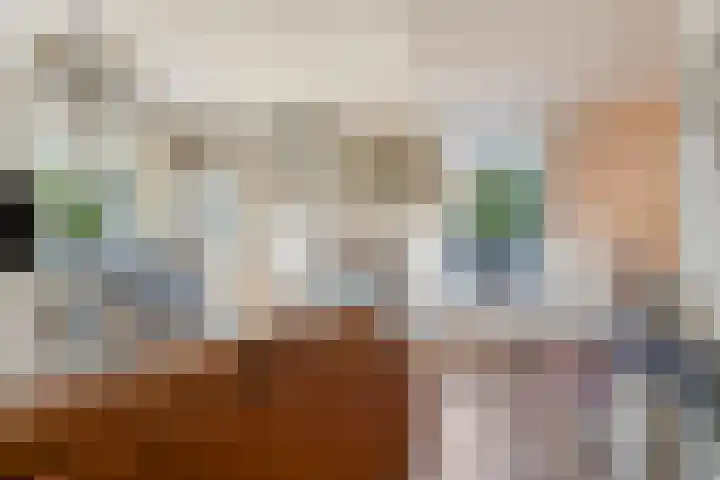 Middenlaan 22 Dwingeloo thumbnail 4