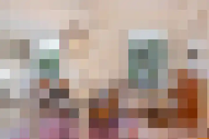 Middenlaan 22 Dwingeloo thumbnail 7