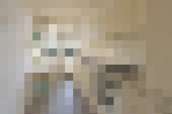 Middenlaan 23 Bussum thumbnail 11