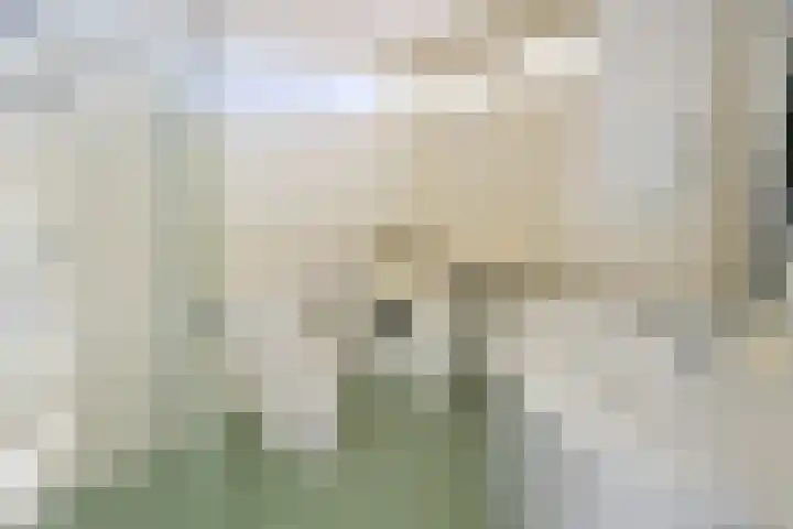 Middenlaan 23 Bussum thumbnail 12