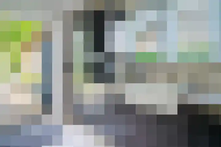 Middenlaan 27 Dwingeloo thumbnail 12