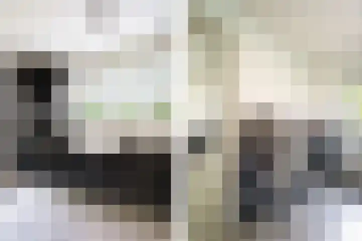 Middenlaan 27 Dwingeloo thumbnail 13