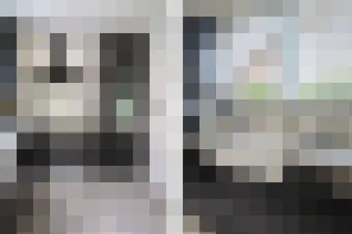 Middenlaan 27 Dwingeloo thumbnail 14