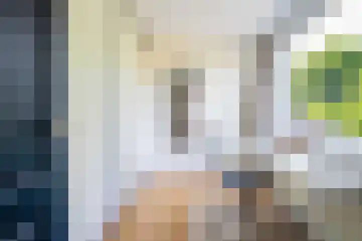 Middenlaan 27 Dwingeloo thumbnail 21