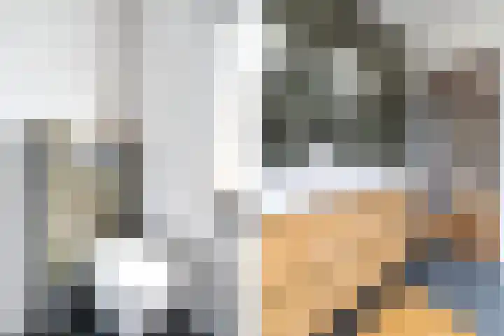 Middenlaan 27 Dwingeloo thumbnail 25