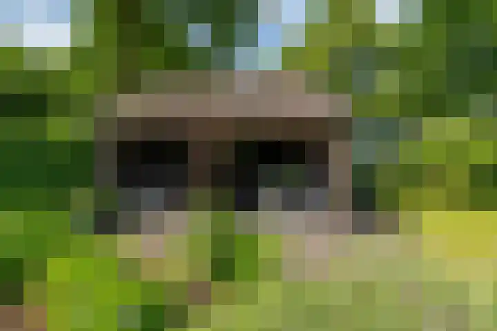 Middenlaan 27 Dwingeloo thumbnail 29
