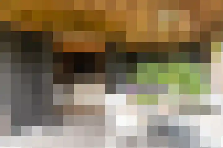 Middenlaan 27 Dwingeloo thumbnail 31