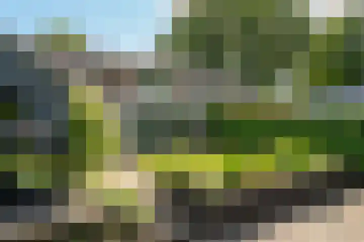 Middenlaan 27 Dwingeloo thumbnail 35