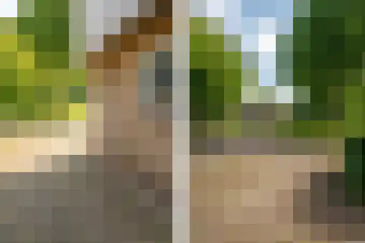 Middenlaan 27 Dwingeloo thumbnail 37