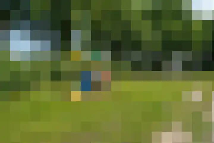 Middenlaan 27 Dwingeloo thumbnail 41