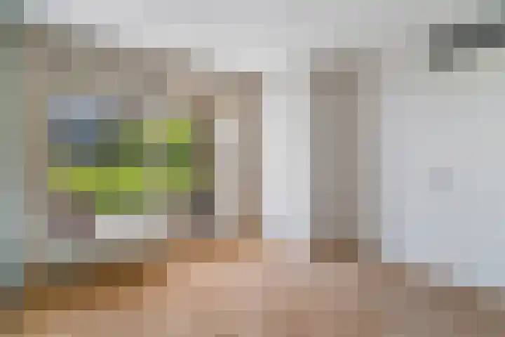 Middenlaan 27 Dwingeloo thumbnail 8