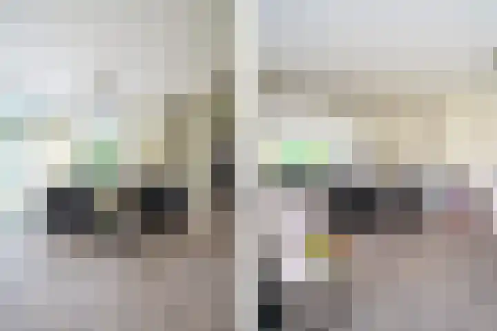 Middenlaan 27 Dwingeloo thumbnail 8