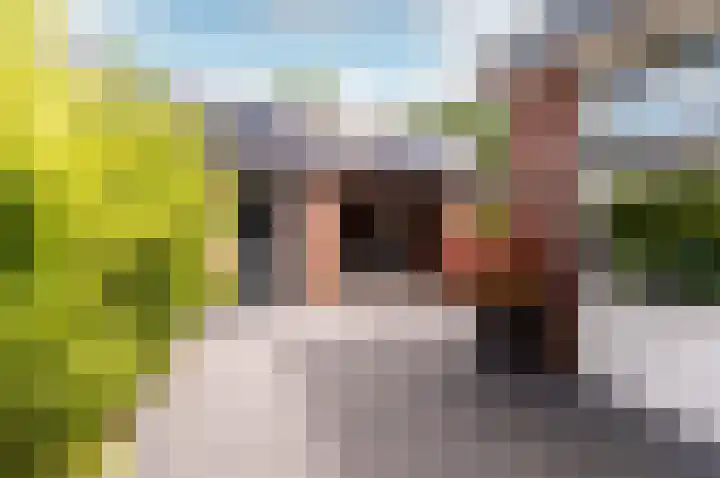 Middenlaan 35 Harderwijk thumbnail 36