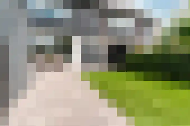 Middenlaan 35 Harderwijk thumbnail 43
