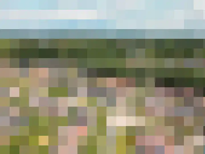 Middenlaan 35 Harderwijk thumbnail 51