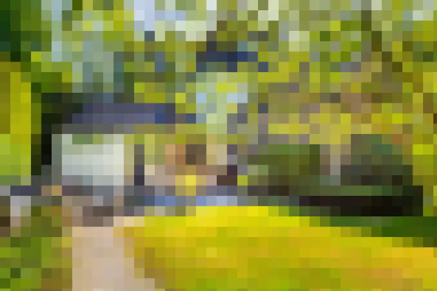 Middenlaan 4 Bussum thumbnail 28
