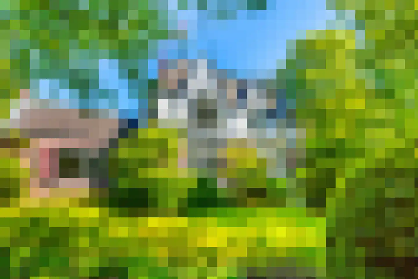 Middenlaan 4 Bussum thumbnail 31