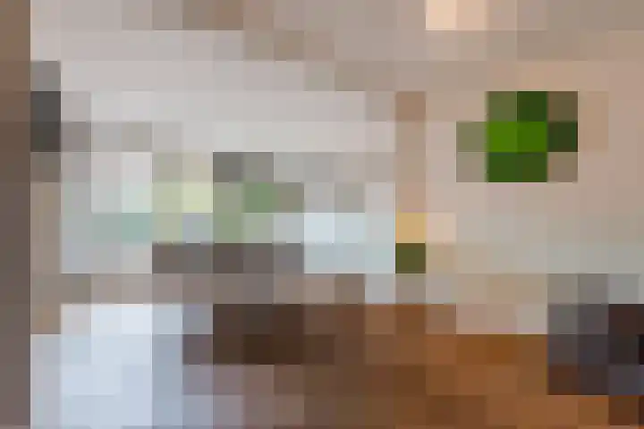 Middenlaan 40 Harderwijk thumbnail 14