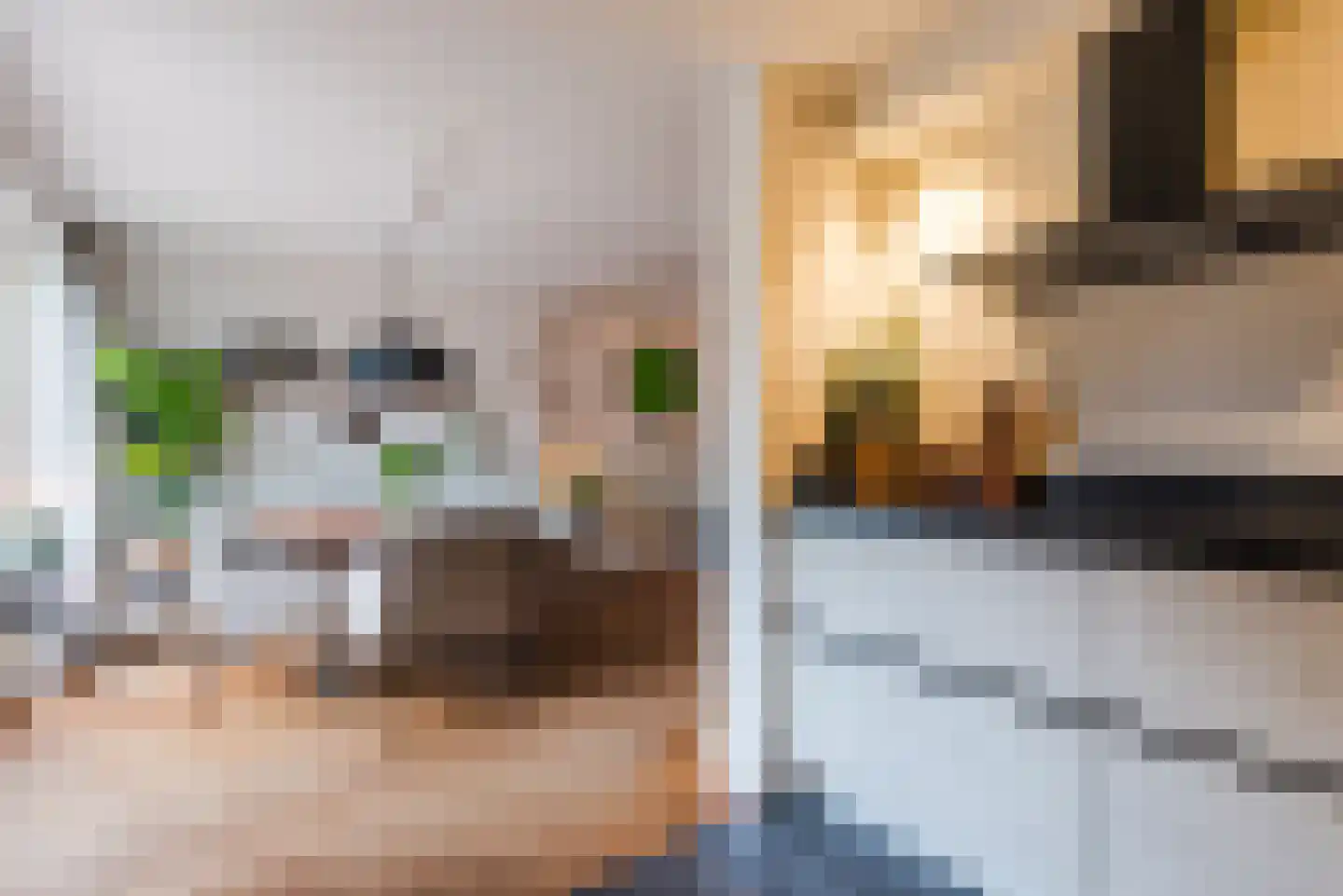 Middenlaan 40 Harderwijk thumbnail 20