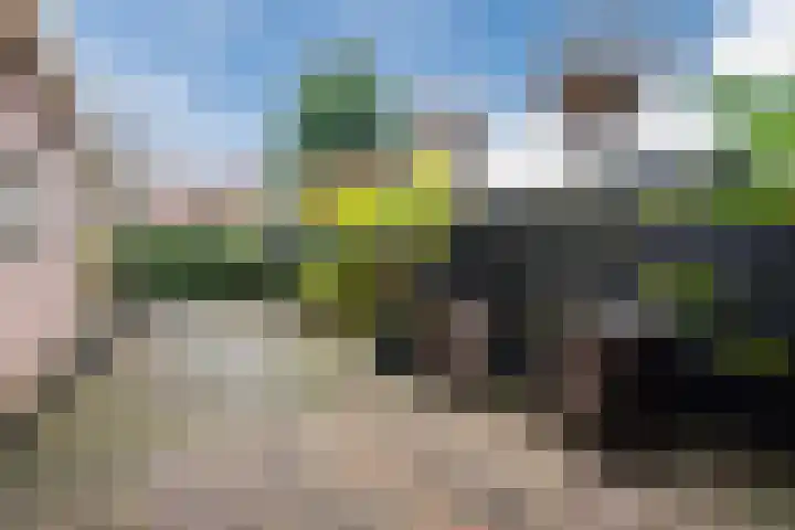Middenlaan 40 Harderwijk thumbnail 46