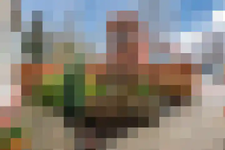 Middenlaan 40 Harderwijk thumbnail 57