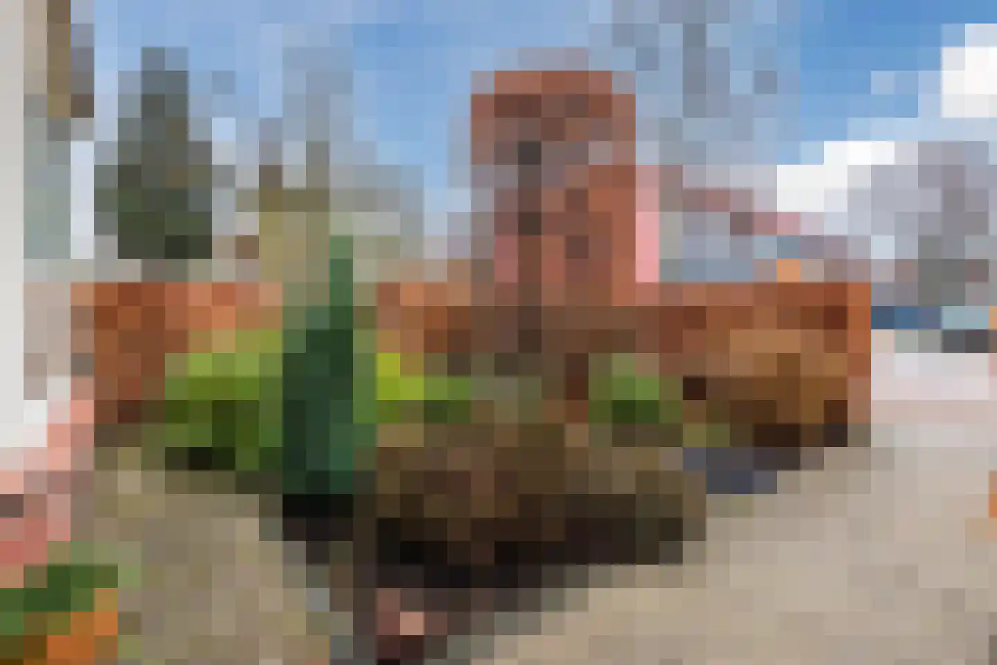 Middenlaan 40 Harderwijk thumbnail 57