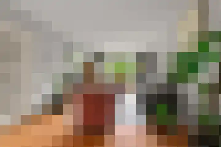 Middenlaan 48 Heveadorp thumbnail 12