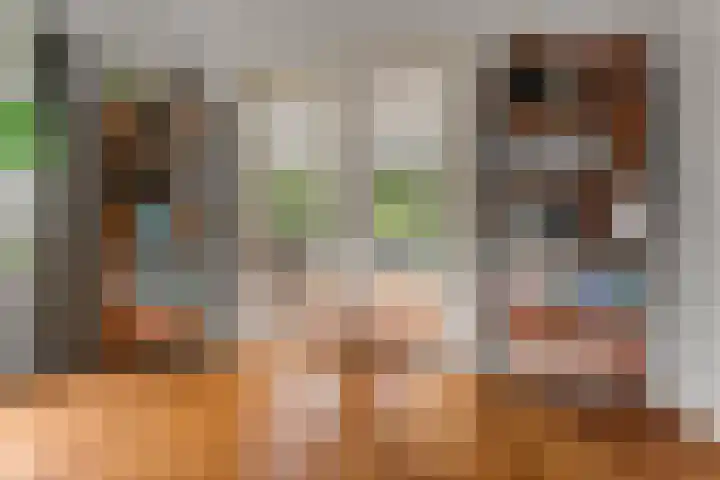 Middenlaan 48 Heveadorp thumbnail 16