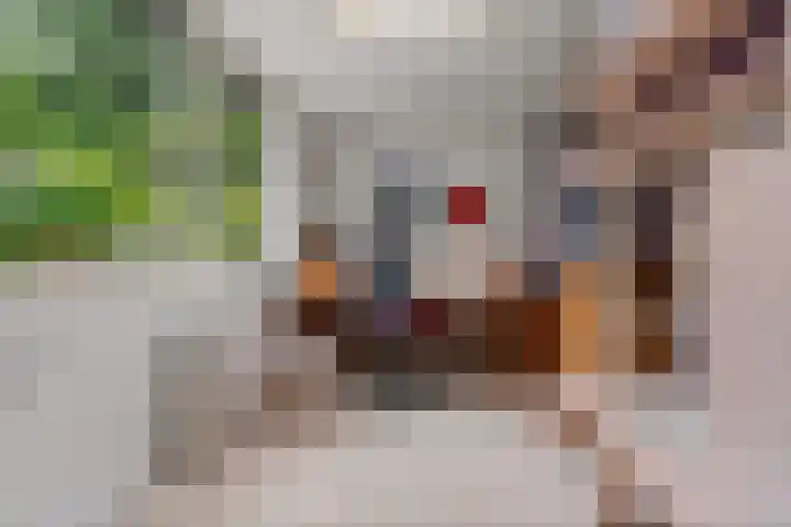 Middenlaan 48 Heveadorp thumbnail 17