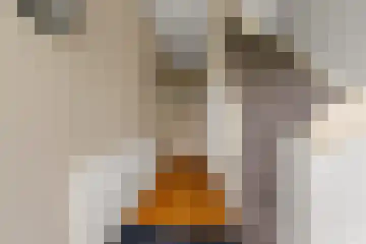 Middenlaan 48 Heveadorp thumbnail 20