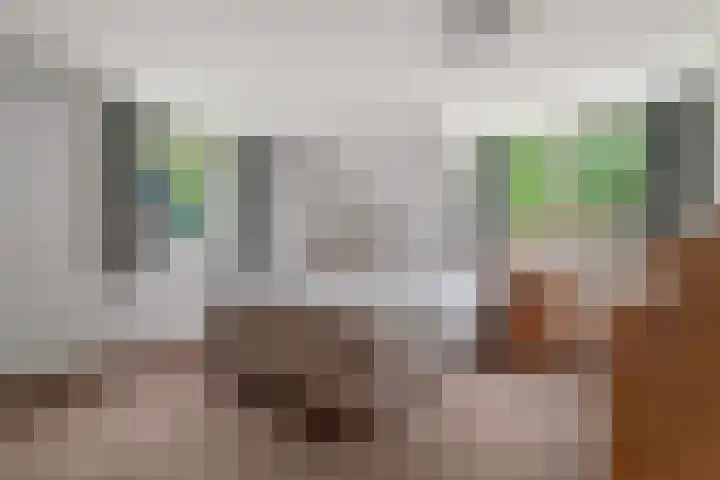 Middenlaan 48 Heveadorp thumbnail 22
