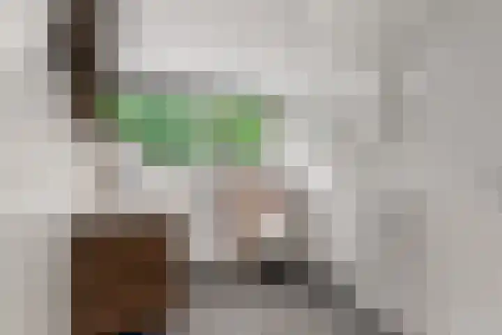 Middenlaan 48 Heveadorp thumbnail 26