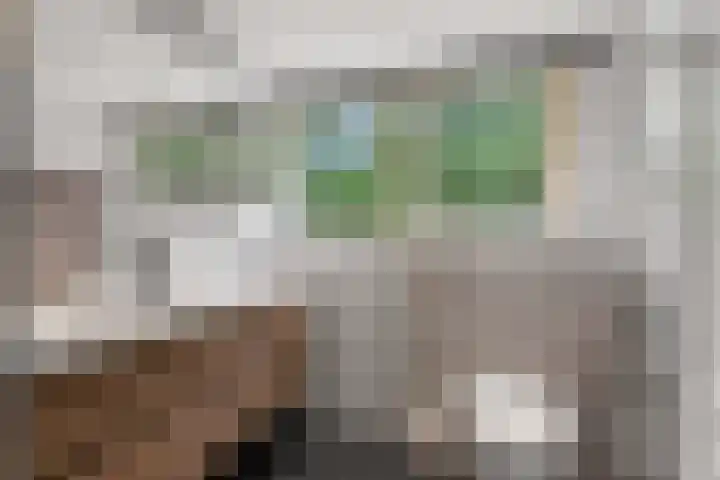 Middenlaan 48 Heveadorp thumbnail 27