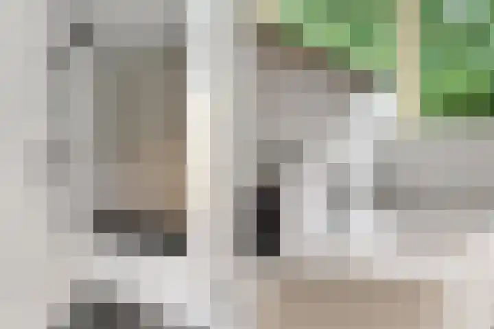 Middenlaan 48 Heveadorp thumbnail 29
