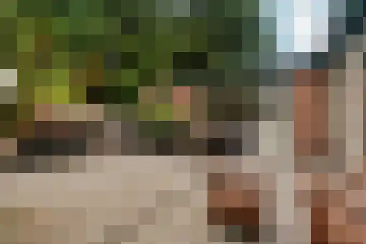 Middenlaan 48 Heveadorp thumbnail 41