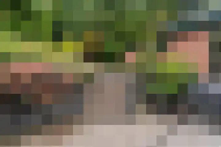 Middenlaan 48 Heveadorp thumbnail 42