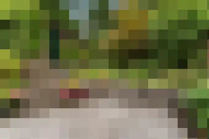 Middenlaan 48 Heveadorp thumbnail 45
