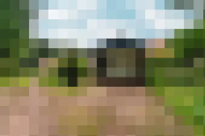Middenlaan 48 Heveadorp thumbnail 47