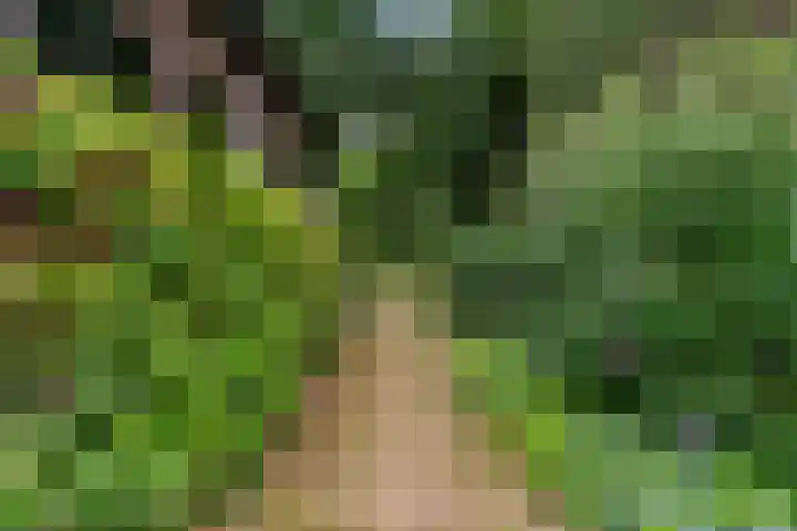 Middenlaan 48 Heveadorp thumbnail 49