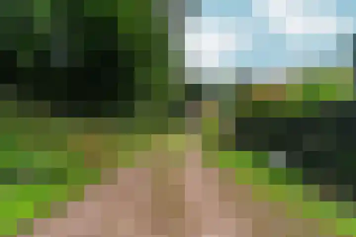 Middenlaan 48 Heveadorp thumbnail 50