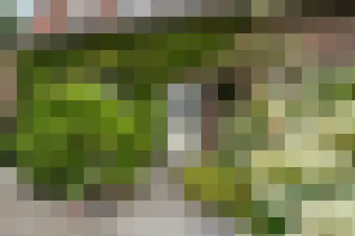 Middenlaan 48 Heveadorp thumbnail 51