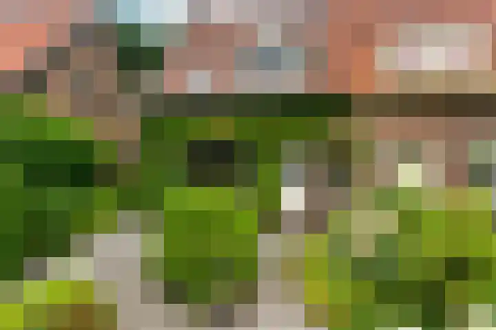 Middenlaan 48 Heveadorp thumbnail 52
