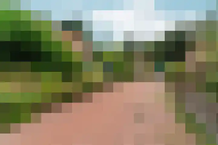 Middenlaan 48 Heveadorp thumbnail 54
