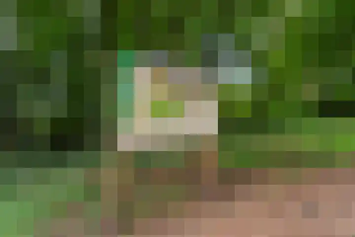 Middenlaan 48 Heveadorp thumbnail 55