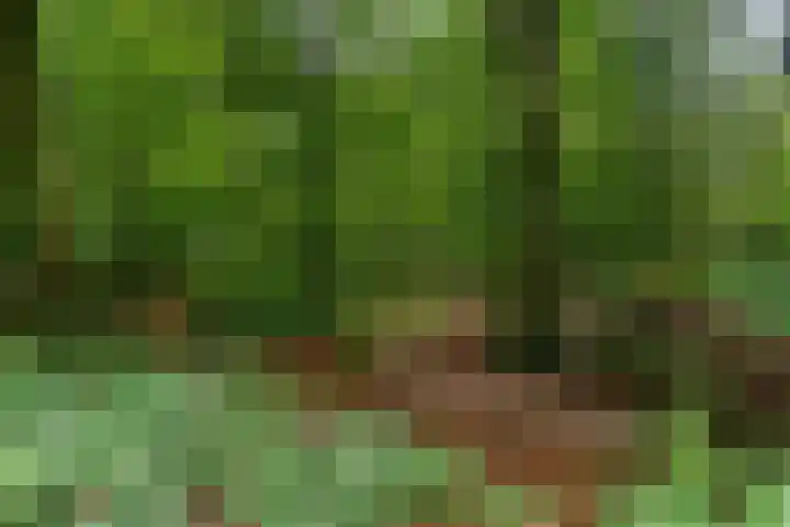 Middenlaan 48 Heveadorp thumbnail 58