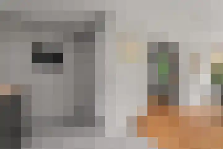 Middenlaan 48 Heveadorp thumbnail 9