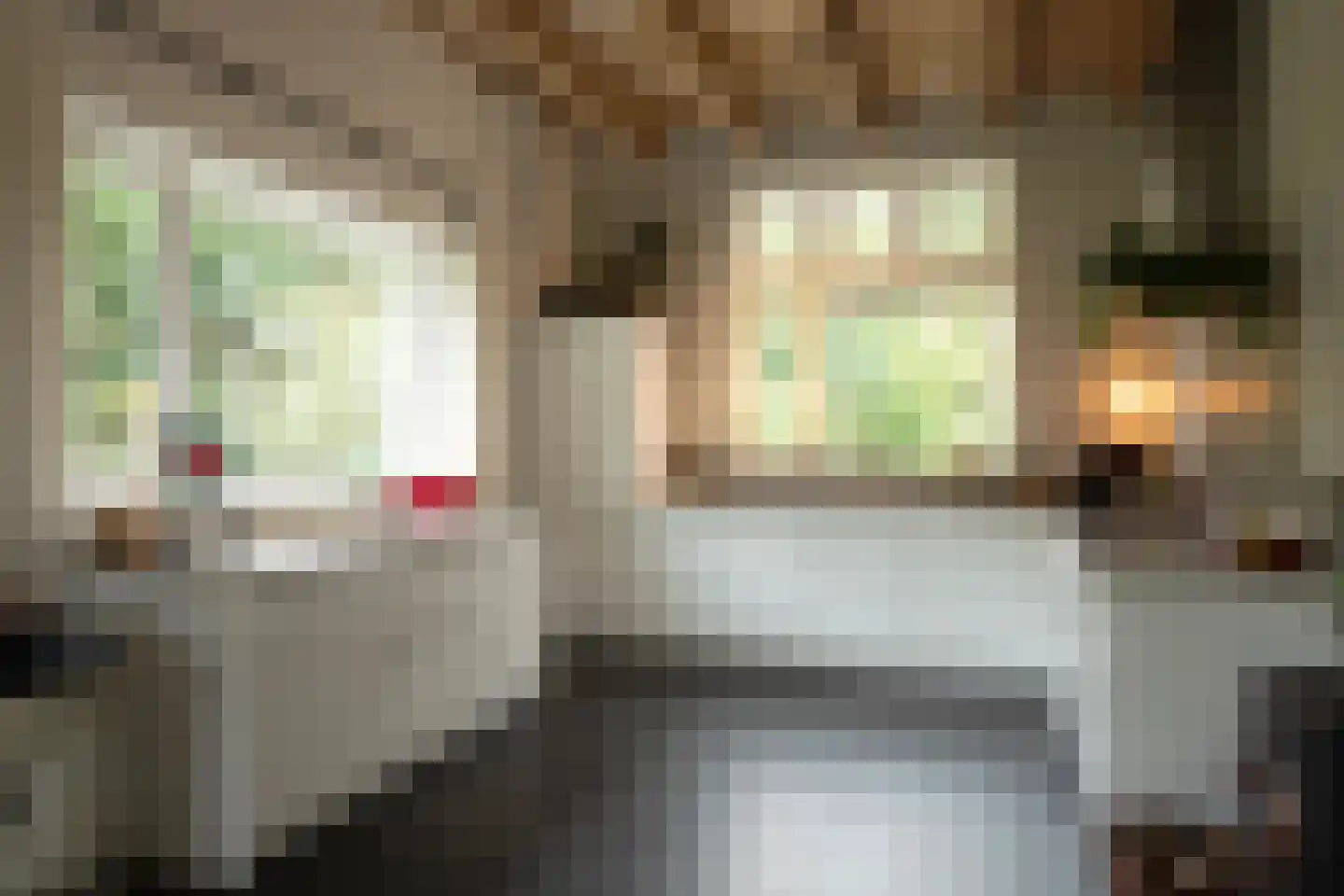 Middenlaan 52 Heveadorp thumbnail 12